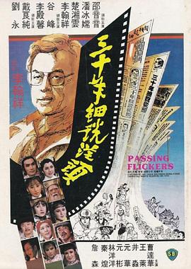 三十年细说从头 | Passing Flickers | sanshinianxishuocongtou