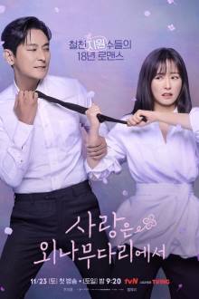 사랑은 외나무다리에서