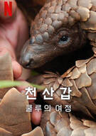 천산갑: 쿨루의 여정 Pangolin Kulus Journey 2025