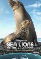 갈라파고스의 바다사자.Sea Lions of the Galapagos (2025)