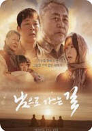 남으로 가는 길 On the way to the South, 2025